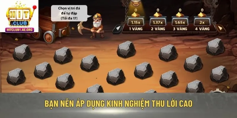 Bạn nên áp dụng kinh nghiệm thu lời cao